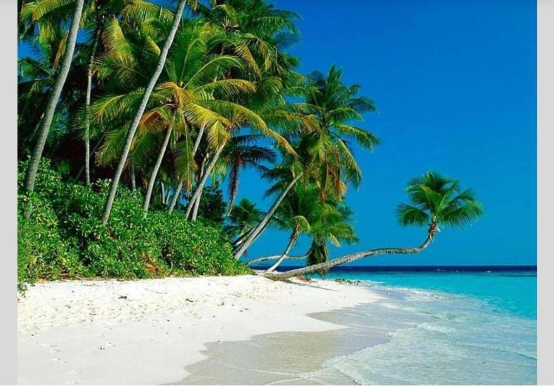Airbnb At Sri Sayang Batu Ferringhi Beach エクステリア 写真